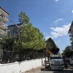 İzmir Kiralık Asansör izmir.kiralık.asansör.karabağlar